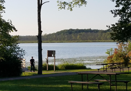 A serene lake view with a person walking by, surrounded by trees and picnic tables in a peaceful park setting.
