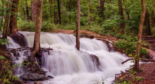A serene waterfall cascades over rocks, surrounded by lush green trees in a tranquil forest setting.