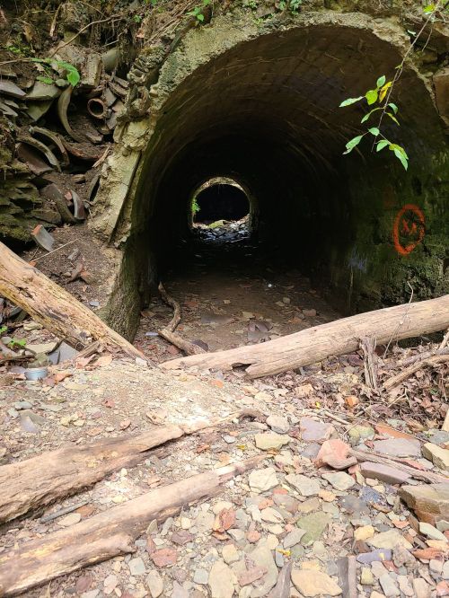 A dark tunnel surrounded by rocks and fallen logs, leading to a distant opening with scattered debris.