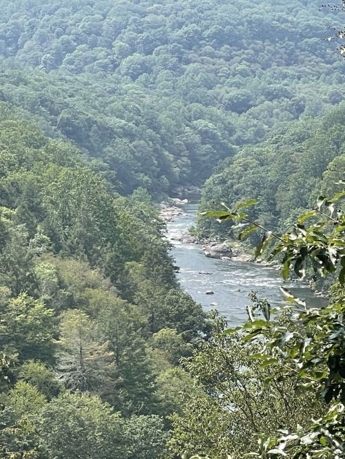 A scenic view of a winding river surrounded by lush green trees and hills under a clear sky.