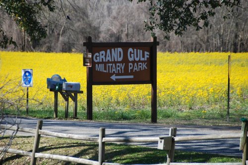 Sign for Grand Gulf Military Park with a field of yellow flowers in the background and a mailbox nearby.