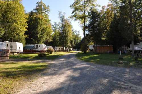 A gravel road lined with RVs and surrounded by trees in a serene camping area.