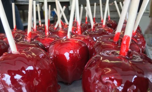A close-up of shiny red candy apples with wooden sticks, arranged in a row on a tray.