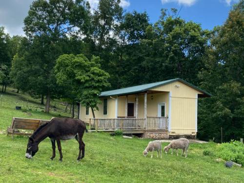 A yellow house surrounded by trees, with a donkey and sheep grazing on green grass in the foreground.