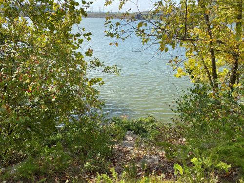 A serene view of a calm lake framed by lush green trees and colorful autumn foliage.