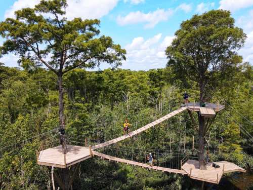 Aerial view of a treetop adventure park with wooden platforms and rope bridges connecting tall trees in a lush forest.