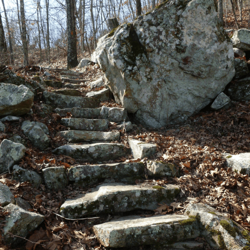 A rocky path winds through a forest, surrounded by trees and scattered leaves on the ground.