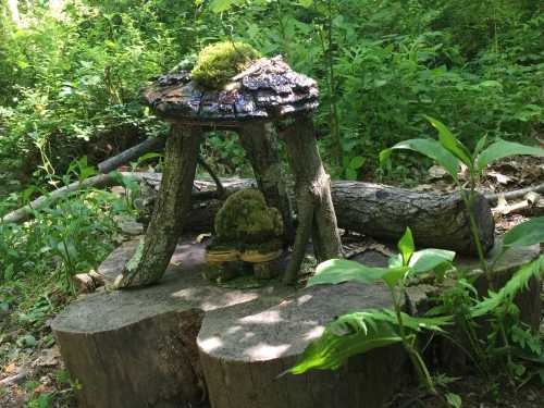 A whimsical wooden table with a moss-covered top, surrounded by lush greenery in a forest setting.