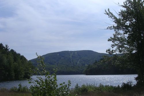 A serene lake surrounded by trees, with a distant mountain under a cloudy sky.