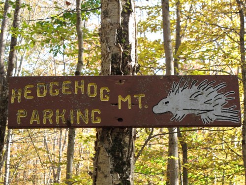 Wooden sign reading "Hedgehog Parking Mt." with a painted hedgehog illustration, set in a forested area.