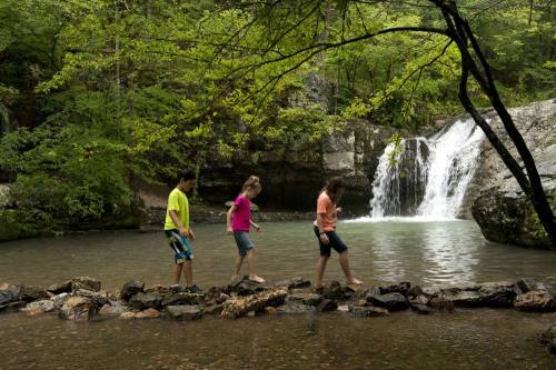 Three children walk across rocks in a shallow stream near a waterfall, surrounded by lush green trees.