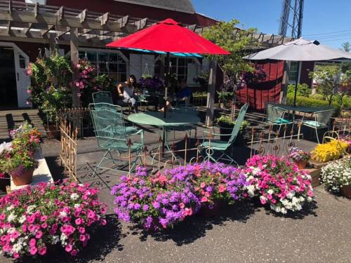 A vibrant garden setting with colorful flowers, outdoor seating, and umbrellas, creating a cozy atmosphere.