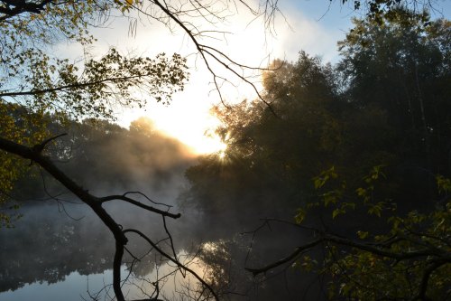 A serene river scene at dawn, with mist rising and sunlight filtering through trees.