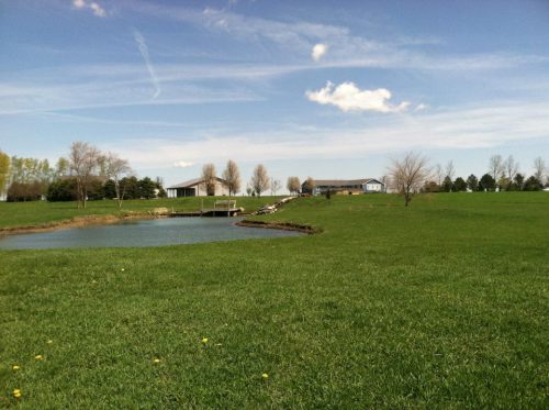 A serene landscape featuring a pond, grassy field, and distant houses under a clear blue sky with a few clouds.