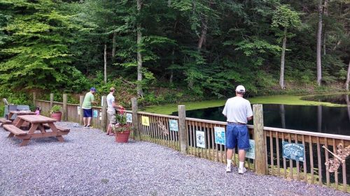 Three people fishing by a pond surrounded by trees, with a picnic area and potted plants nearby.
