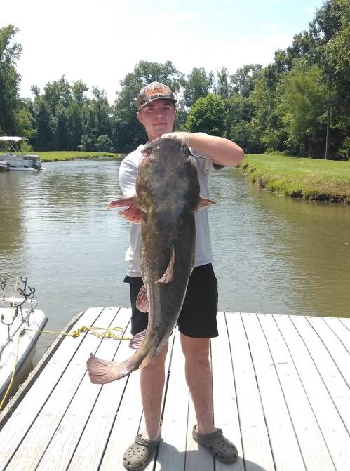 A person stands on a dock holding a large catfish, with a river and trees in the background on a sunny day.