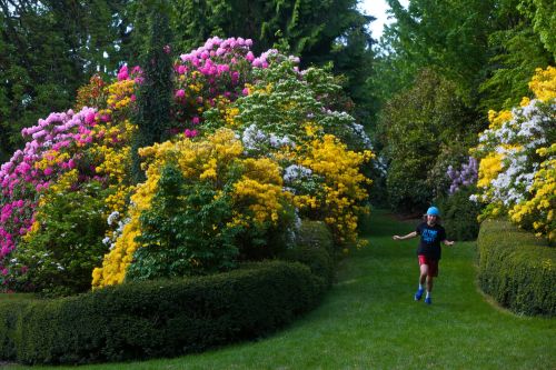 A child runs along a path surrounded by vibrant flowering bushes in a lush garden.