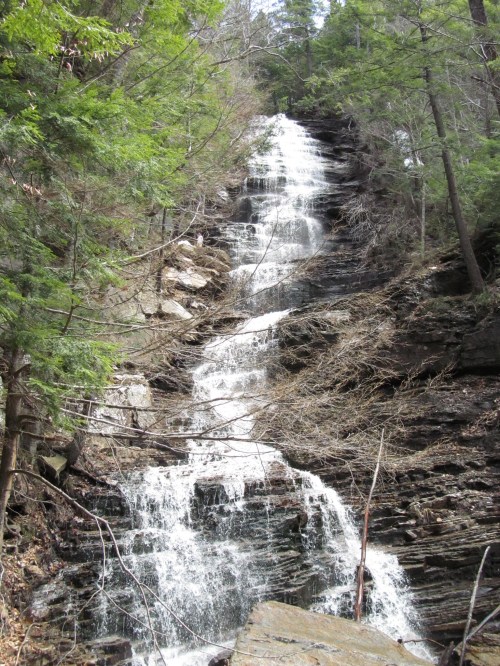 A cascading waterfall flows down a rocky cliff, surrounded by lush green trees and natural vegetation.