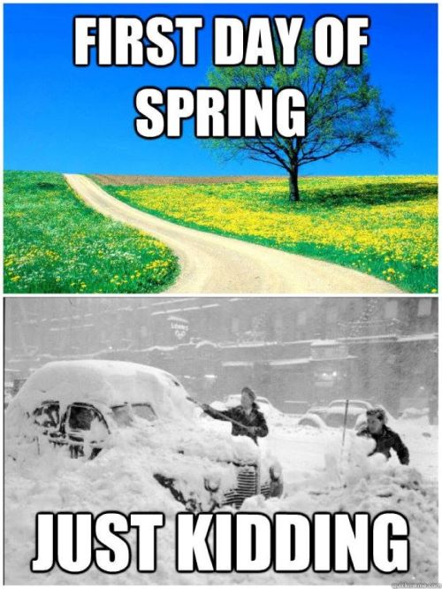 A split image: the top shows a sunny spring landscape, while the bottom depicts a snowy scene with people clearing a car.