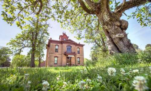 A historic brick house surrounded by lush greenery and a large tree, with a clear blue sky above.