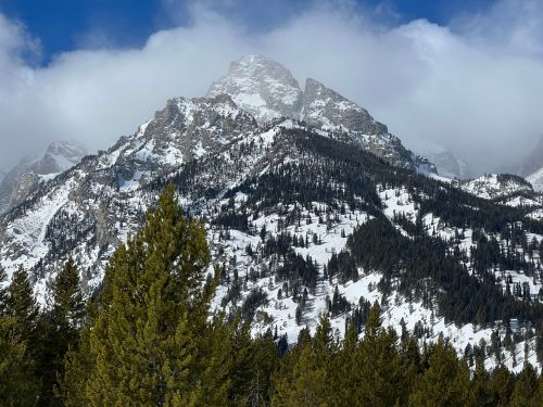 Snow-covered mountain peaks rise above a forest of evergreen trees under a cloudy blue sky.