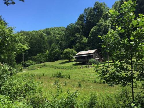 A rustic cabin surrounded by lush green trees and a sunny blue sky, set in a peaceful rural landscape.