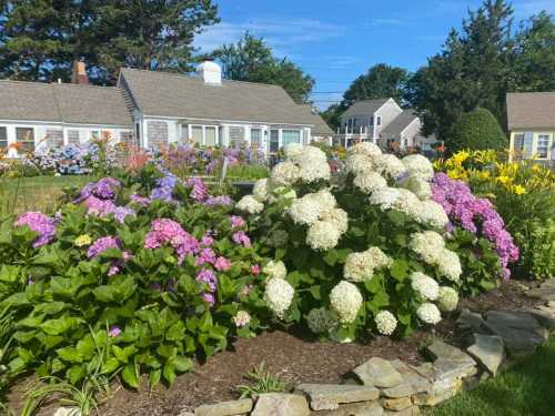 A vibrant garden with blooming hydrangeas and lilies, surrounded by charming houses and blue skies.