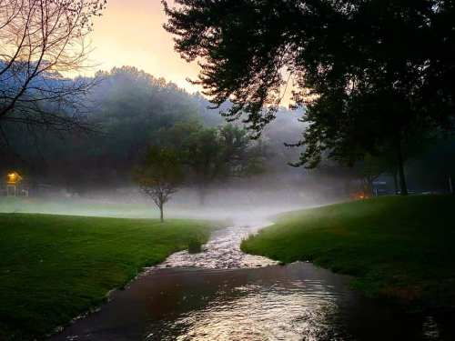 A serene landscape with a misty stream flowing through green grass and trees at dawn.