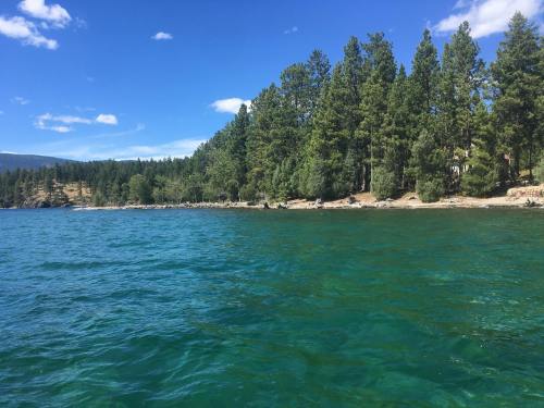 A serene lake scene with clear blue water and a forested shoreline under a bright blue sky with scattered clouds.