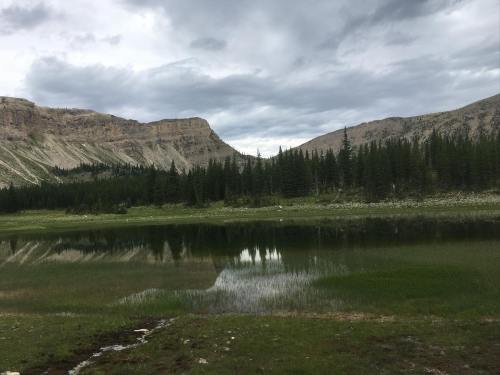 A serene lake surrounded by lush green trees and mountains under a cloudy sky. Reflections shimmer on the water's surface.