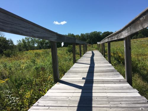 A wooden boardwalk leads through a grassy field under a clear blue sky with a few clouds.