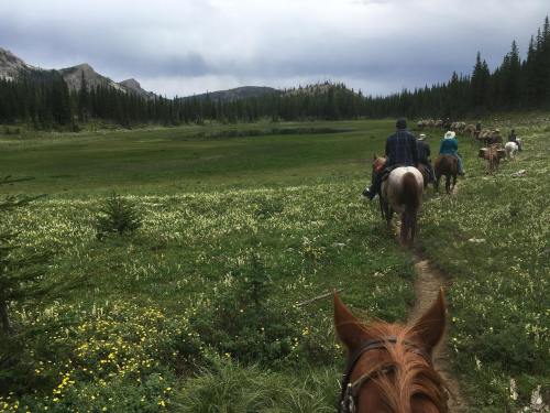 A group of horseback riders traverses a lush, green meadow surrounded by trees and mountains under a cloudy sky.