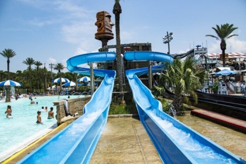 Two blue water slides at a tropical-themed water park, with palm trees and a pool filled with people in the background.