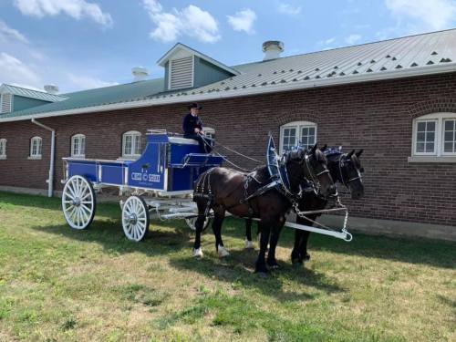 A horse-drawn carriage with two horses, parked in front of a brick building under a blue sky.