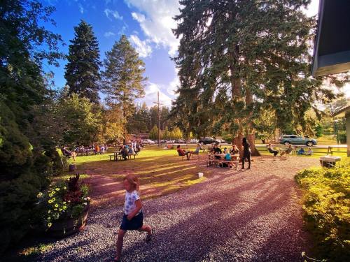 A lively outdoor scene with people sitting at picnic tables, children playing, and trees under a bright blue sky.