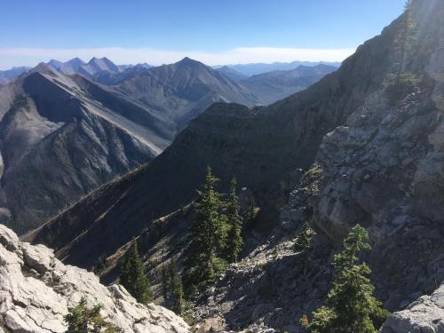 A panoramic view of rugged mountains and rocky terrain under a clear blue sky, with scattered trees in the foreground.