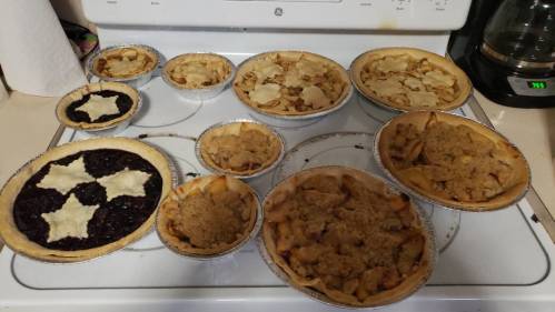 A variety of freshly baked pies on a kitchen counter, including apple and berry pies with different crust designs.