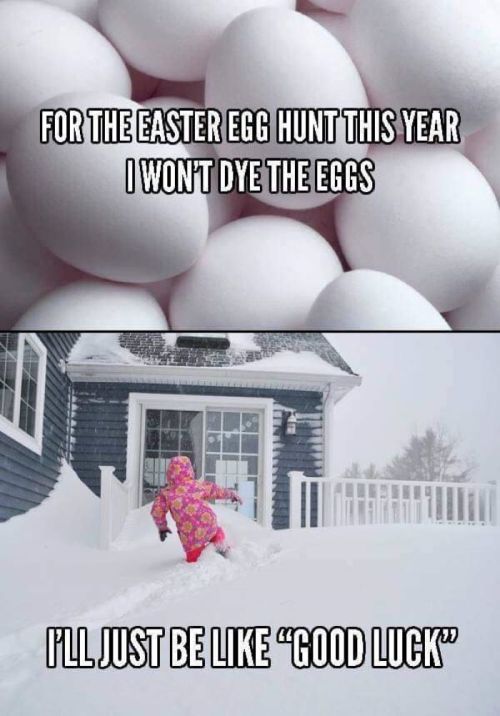 A humorous image showing white eggs and a child in a pink snowsuit walking through deep snow, suggesting a challenging egg hunt.