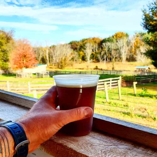 A hand holding a cup of beer with a scenic view of trees and a field in the background.