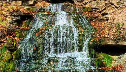 A serene waterfall cascading over rocky ledges, surrounded by autumn leaves and lush greenery.