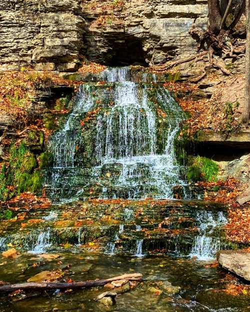 A serene waterfall cascading over rocks, surrounded by autumn leaves and lush greenery.