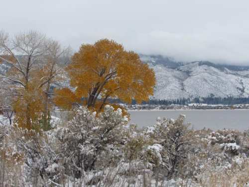 A snowy landscape featuring a lake, mountains, and a vibrant orange tree amidst winter scenery.