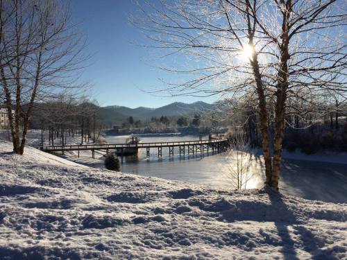 A serene winter scene with a frozen lake, a wooden dock, and trees glistening with ice under a bright sun.