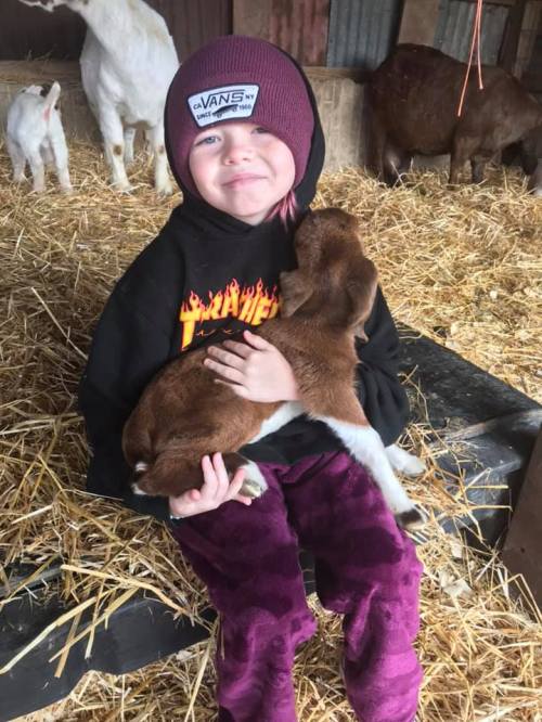 A child in a beanie and hoodie sits on straw, holding a baby goat close, with goats in the background.