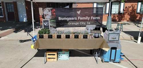 A market stall with a sign for Bomgaars Family Farm, featuring fresh produce and goods in Orange City, IA.