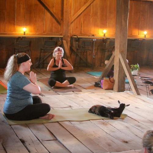 Two women practice yoga in a rustic wooden space, with one cat resting nearby. Soft lighting creates a calm atmosphere.