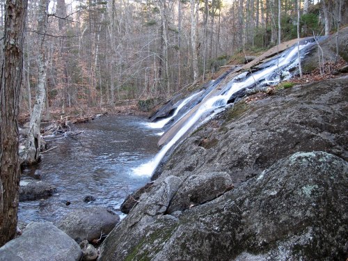 A serene waterfall cascading over rocks in a wooded area, surrounded by trees and a calm stream.