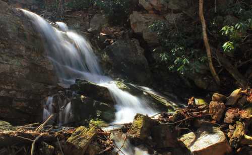 A serene waterfall cascading over rocks, surrounded by lush greenery in a tranquil forest setting.