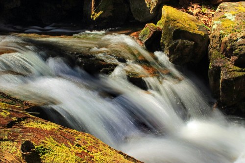 A serene stream flows over moss-covered rocks, creating a tranquil natural scene.