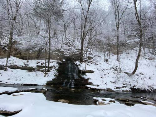 A snowy landscape featuring a small waterfall surrounded by bare trees and a frozen stream.
